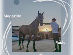 -意大利农场度假村