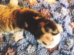 -猫的天空之城概念书店(杭州南宋御街店)