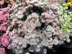 -循礼门鲜花花市(武汉循礼门店)