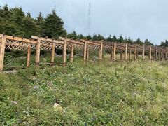 -白草畔自然风景区