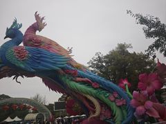 -南山植物园