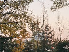 -迎泽公园