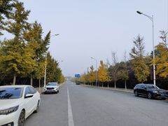 -青龙湖公园