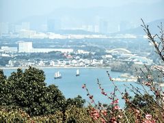 -香雪海