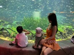 -海合安成都极地海洋公园