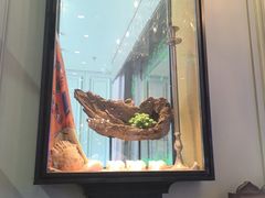 -开海·红岛海鲜虾水饺(石老人店)