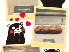 -北京周口店北京人遗址博物馆