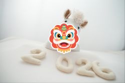 -玛瑞莎孕婴童摄影到家拍