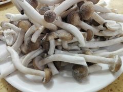 -东巴谷野生菌火锅餐厅
