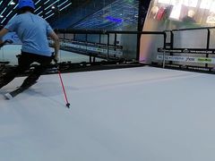 -Hopo Snow 城市滑雪空间(来福士广场购物中心店)