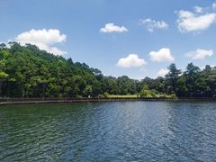 -海南热带雨林国家公园吊罗山景区