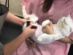 -多卡布奇宠物生活馆(上林世家店)