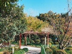 -嘉定紫藤园