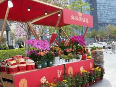 -东莞松山湖万象汇