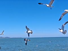 -悦海公园