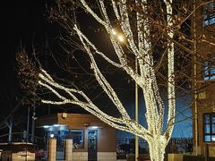 -北京市海淀外国语实验学校