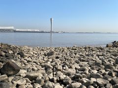 -上海吴淞炮台湾国家湿地公园