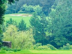 -浙江安吉JW万豪酒店·万豪中餐厅