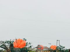 -中国马镇舞马世界主题乐园