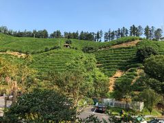 -心无尘茶餐馆(径山村店)