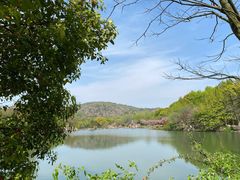 -白马涧龙池景区