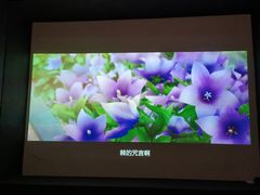 -极光点播影院·Switch.游戏馆(世界之窗店)