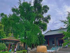 -南华禅寺