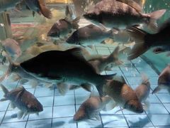 -荣小馆(温州智慧谷店)