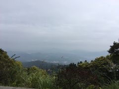 -广州市帽峰山景区