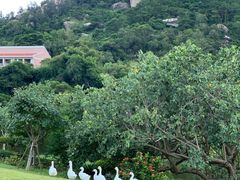 -厦门国家会计学院