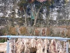 -美味之家·湖景农家乐(太湖东山店)