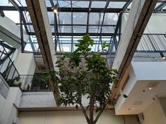 -大树餐厅(红旗街万达店)