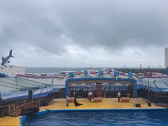 -海合安青岛极地海洋公园