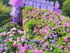 -上海滨江森林公园