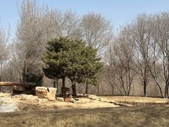 -北京野生动物园