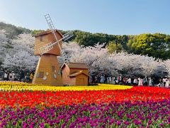 -苏州上方山国家森林公园