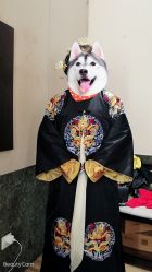 -盘子女人坊古装写真摄影(天津总店)