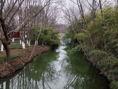 -西溪国家湿地公园