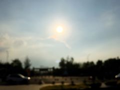 -杭州湾海上花田景区