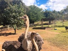 -卡塞拉自然公园