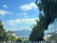 -巍山𤆵肉饵丝