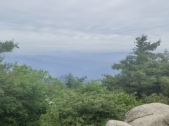 -王顺山国家森林公园