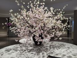 -广州美莱医疗美容医院