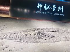 -贵州省地质博物馆
