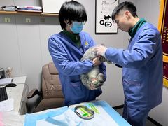 -半岛宠物医院24小时(科华中路店)