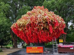 -狼山风景名胜区