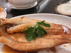-ManHo万豪中餐厅(成都茂业JW万豪酒店)