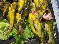 -苏格里岛自助海鲜火锅烧烤(大汉悦中心店)