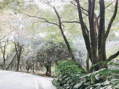 -东湖落雁景区
