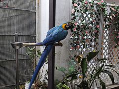 -观桥阁(锦溪店)